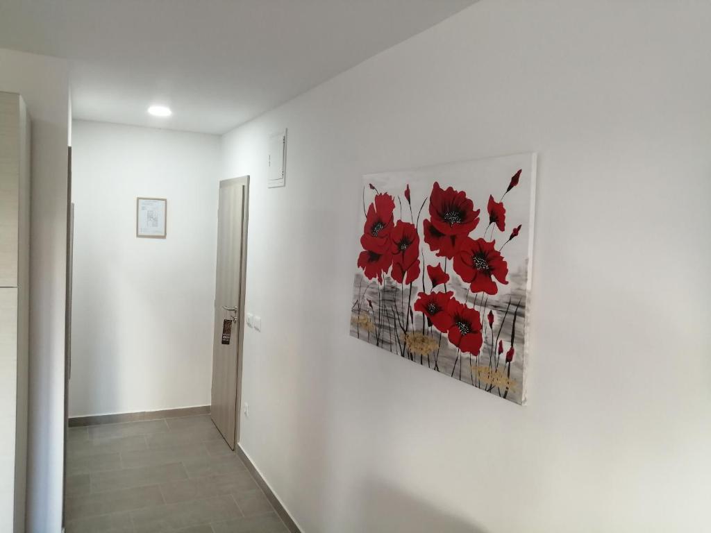 Fotografie z fotogalerie ubytování Studio Istra v Rovinji