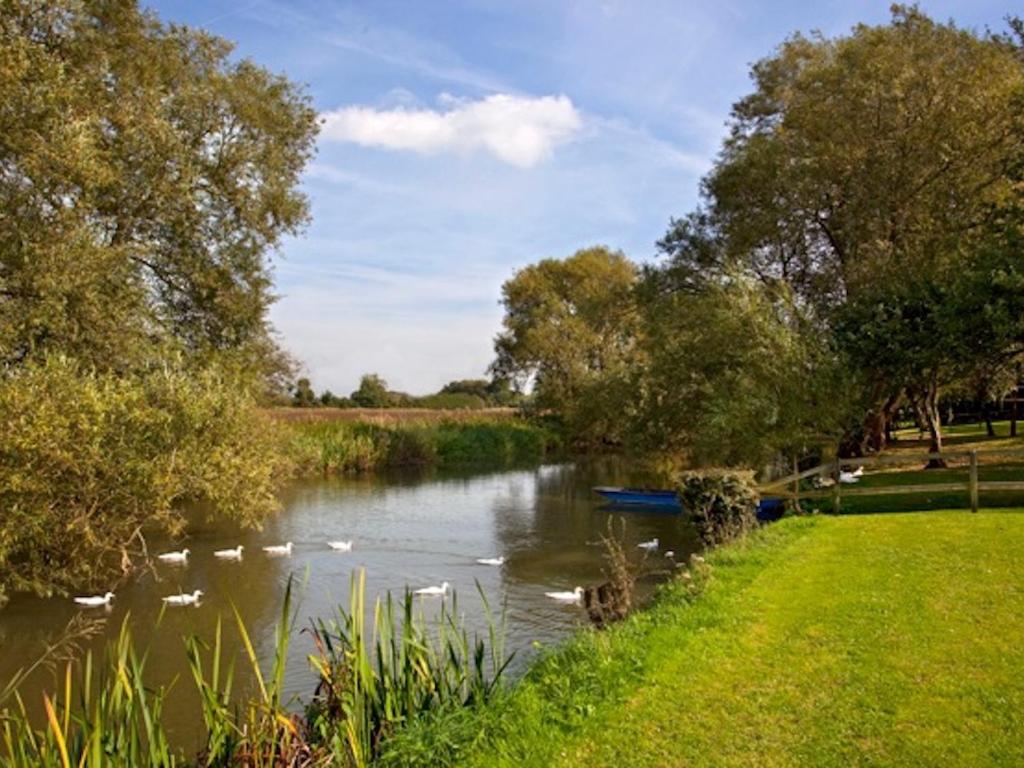 Une rivière avec une bande de canards dans l'eau dans l'établissement Cherbridge Lodges - Riverside lodges, short lets (business or holidays), à Oxford