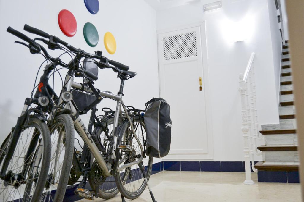 Jazda na bicykli v okolí ubytovania Cinco Bolas 1