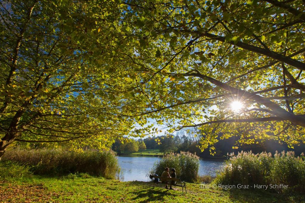 I AM HOTEL Graz-Seiersberg - Resim 45