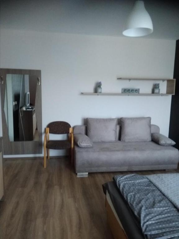 salon z kanapą i krzesłem w obiekcie KarosPool Apartman w Zalakaros