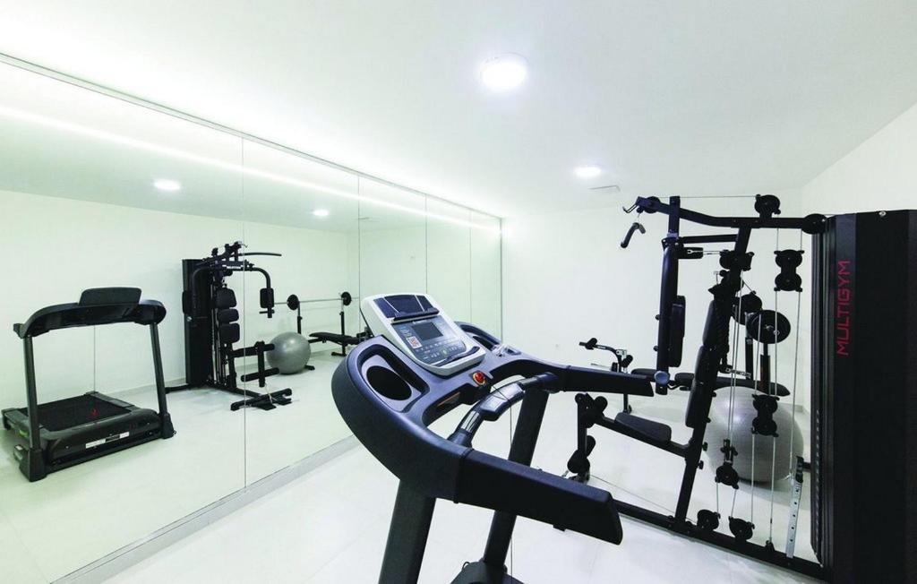 Posilňovňa alebo fitness centrum v ubytovaní Luxury Dream House