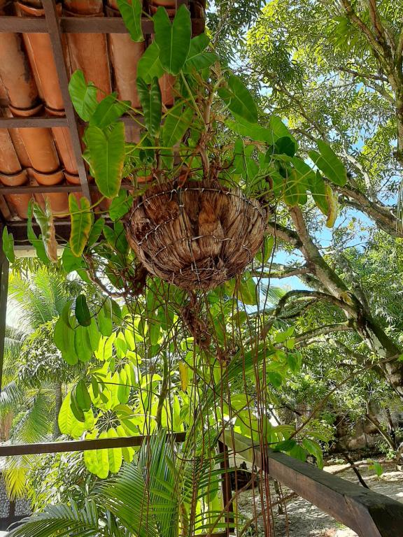  Exclusive Guest House