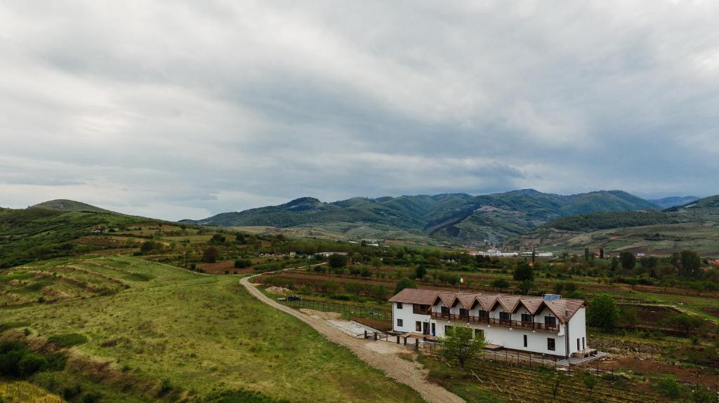 a house on a hill with mountains in the background at Pensiunea Casa Negrea in Alba Iulia