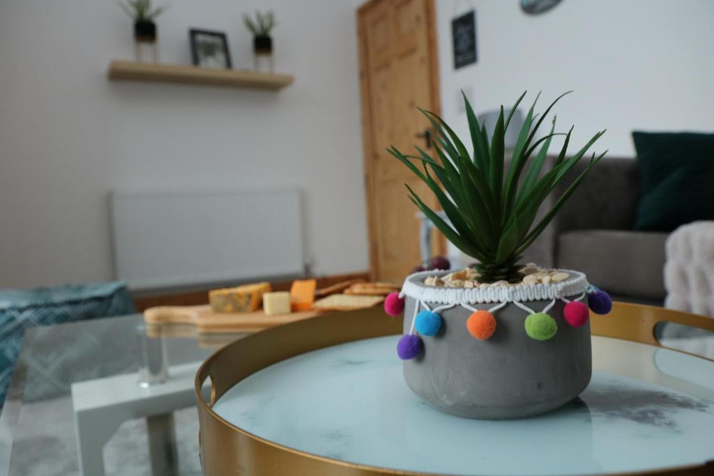 a table with a potted plant on top of it at Ideal Lodgings in Bury - Whitefield in Bury