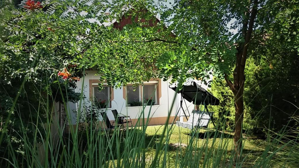 una pequeña casa en medio de un jardín en Júlia Vendégház Sarród, en Sarród