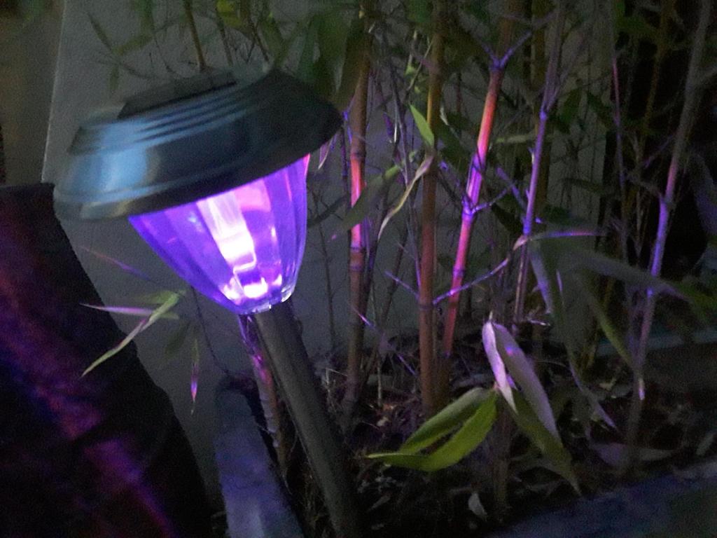 Studio Gaia - Housity