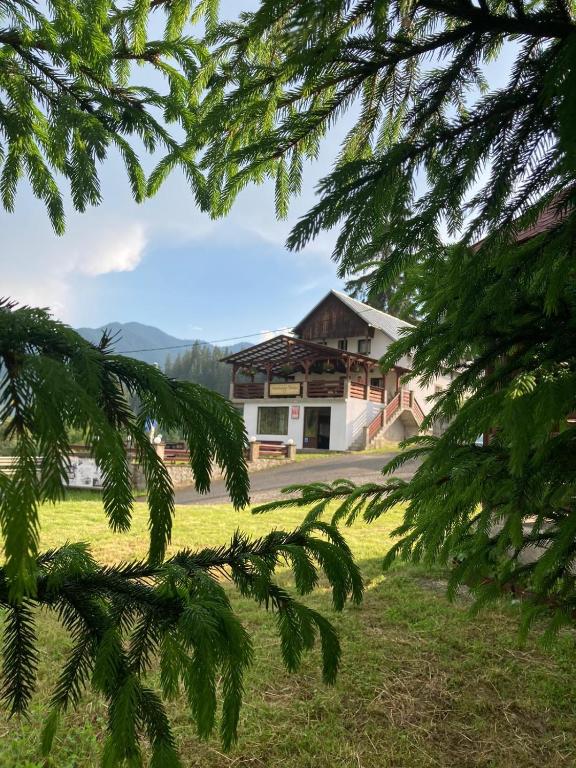 a house seen through the branches of a tree at Pensiunea Turistică Tihuța in Piatra Fantanele