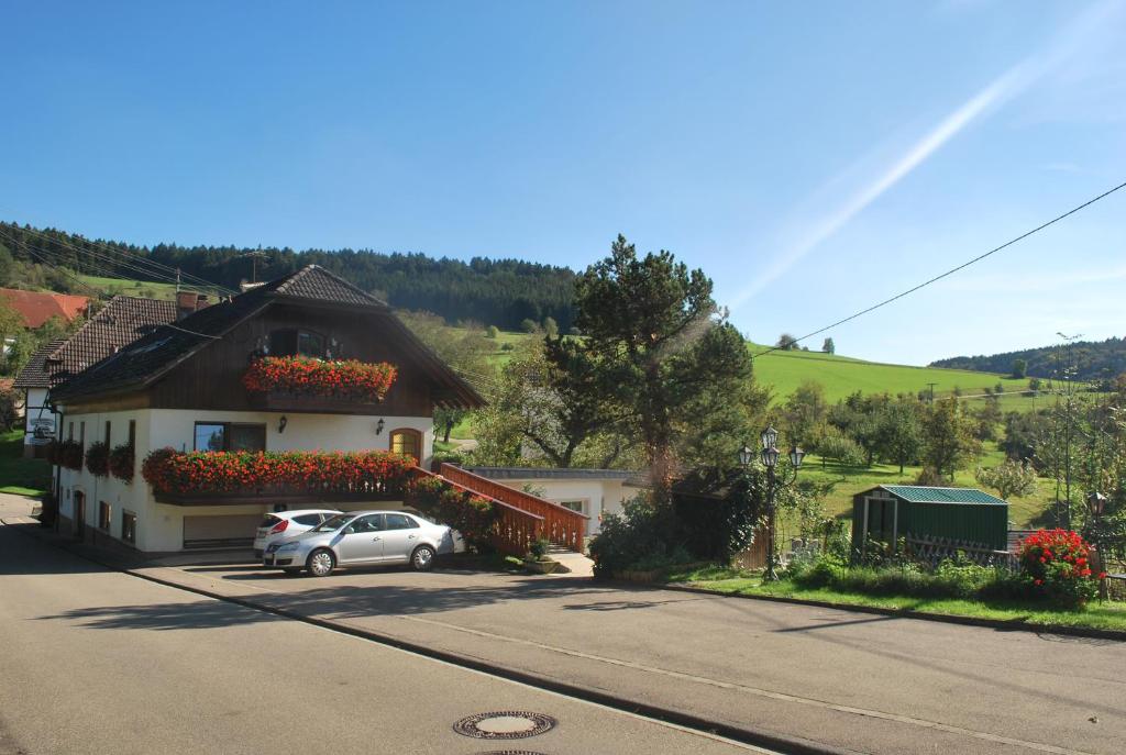 a car parked in front of a house with flowers at Landgasthof Hirschen Untermettingen in Ühlingen-Birkendorf