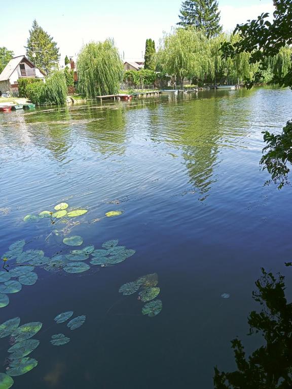 Výhled na řeku, která protéká v blízkosti apartmánu
