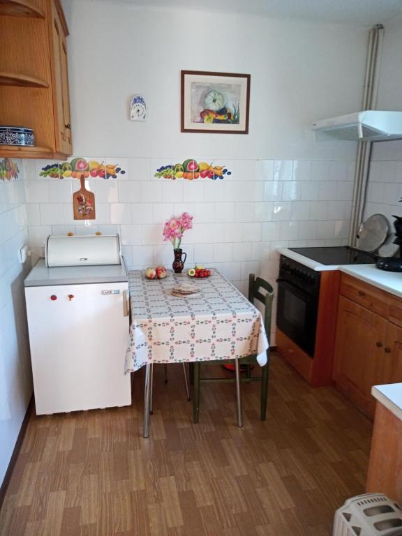 Kuchyň nebo kuchyňský kout v ubytování Borostyán Vendégház Dunasziget
