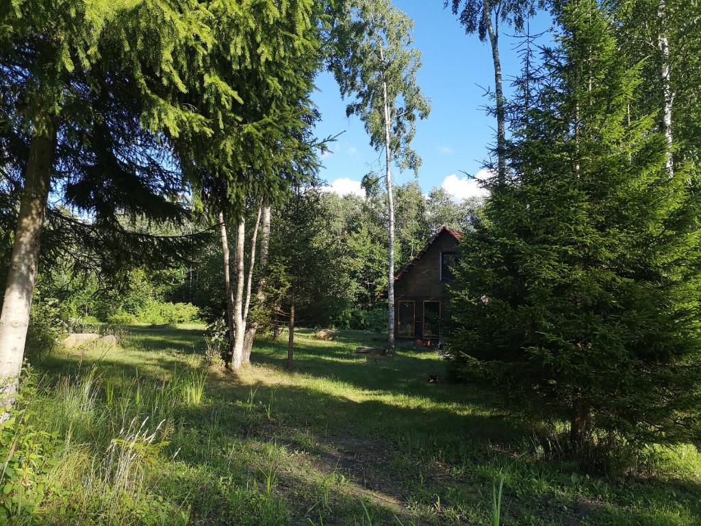 Brīvdienu māja 