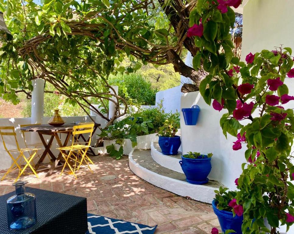 a patio with a bunch of potted plants and a table at El nido de aguila in Casares