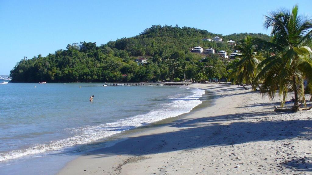 a beach with palm trees and a person in the water at MANIKOU in Le Vauclin