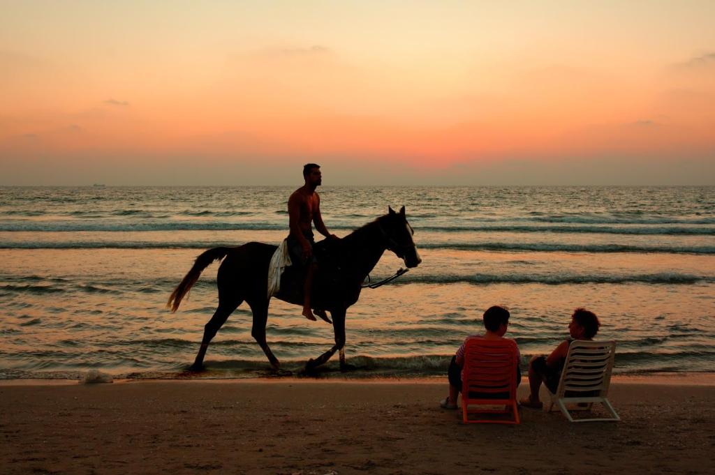 a man riding a horse on the beach at sunset at Hotel Mare in Nazaré