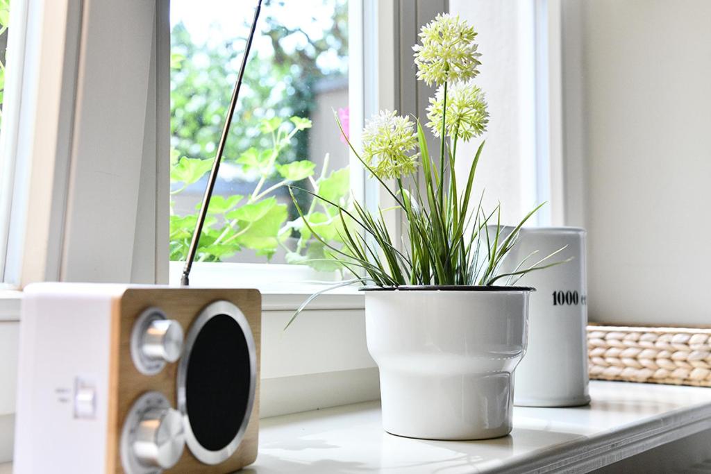 JETHON Studio-Appartement im Grünen - 10