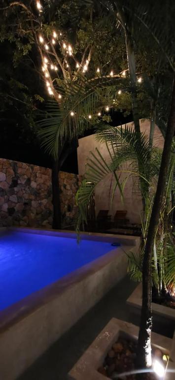 Bazén v ubytování Hotel Casa Bamboo nebo v jeho okolí