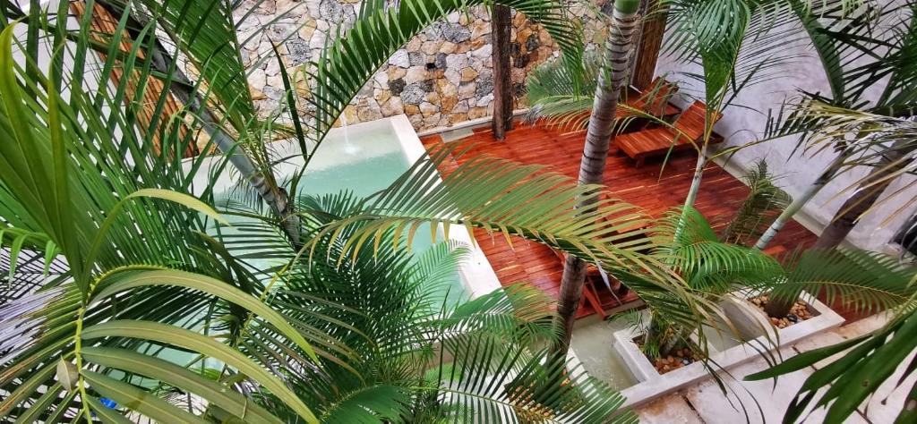 an overhead view of a room with palm trees at Hotel Casa Bamboo in Valladolid