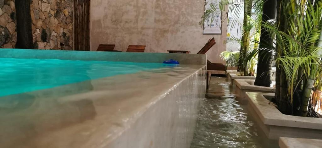 Bazén v ubytování Hotel Casa Bamboo nebo v jeho okolí