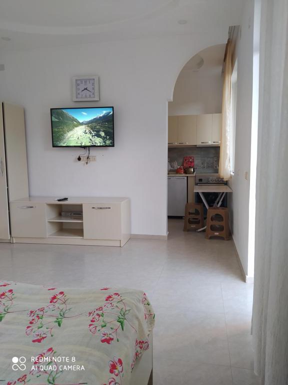 TV a/nebo společenská místnost v ubytování Emzari's Apartment