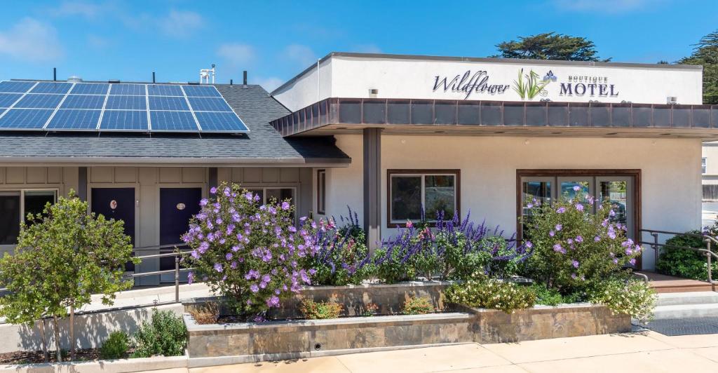 un edificio con paneles solares en el techo en Wildflower Boutique Motel en Point Arena