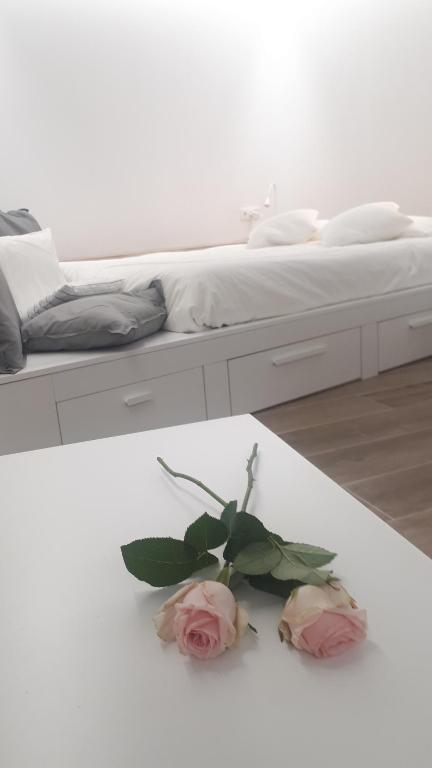 cal dalmau apartaments loft - Housity