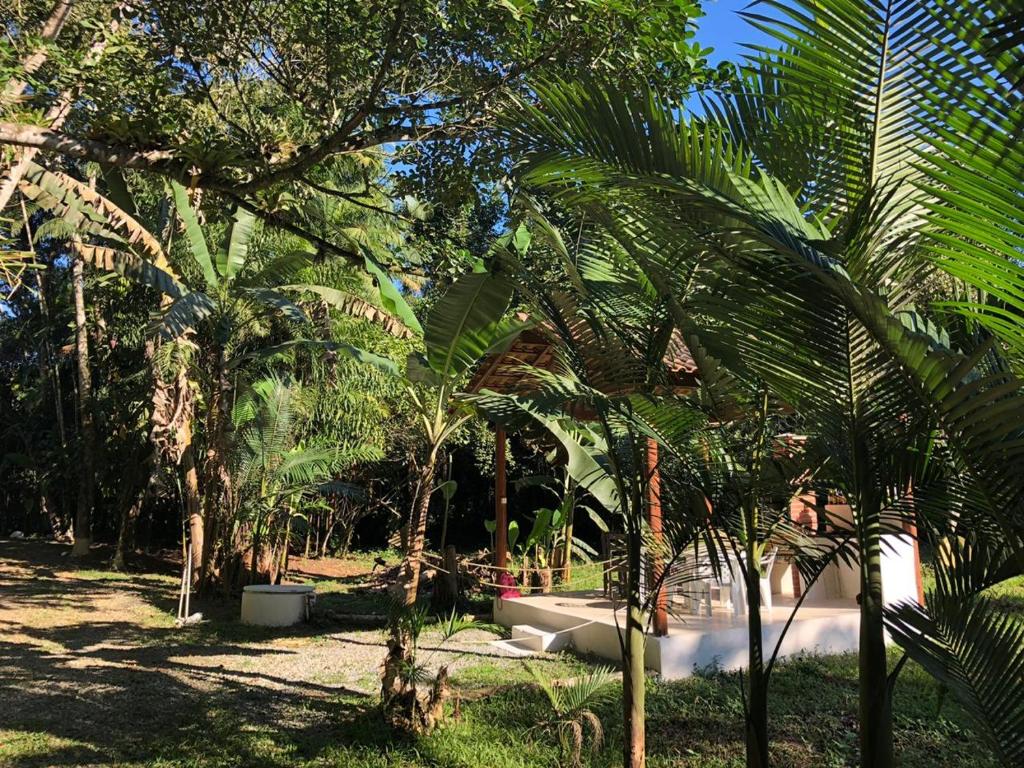  Flat Boa Vista
