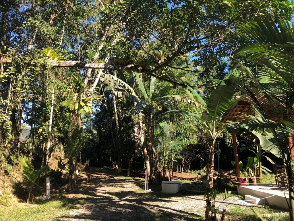  Flat Boa Vista