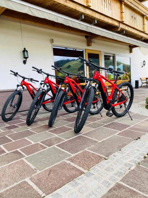Jízda na kole v ubytování Hotel Seelos nebo okolí