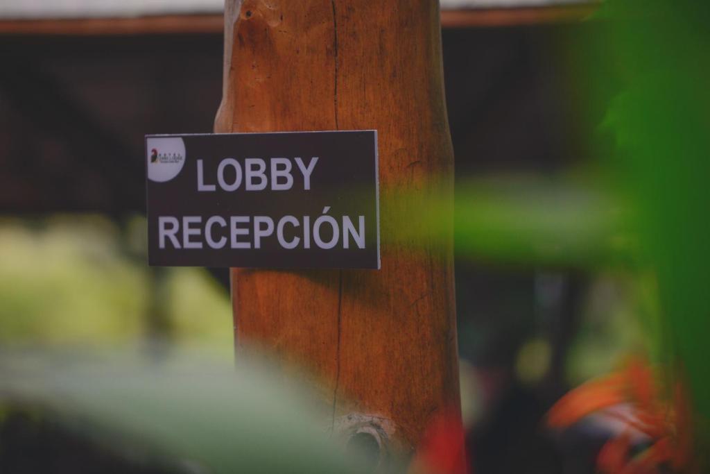 Certifikát, hodnocení, plakát nebo jiný dokument vystavený v ubytování Hotel Cerro Lodge
