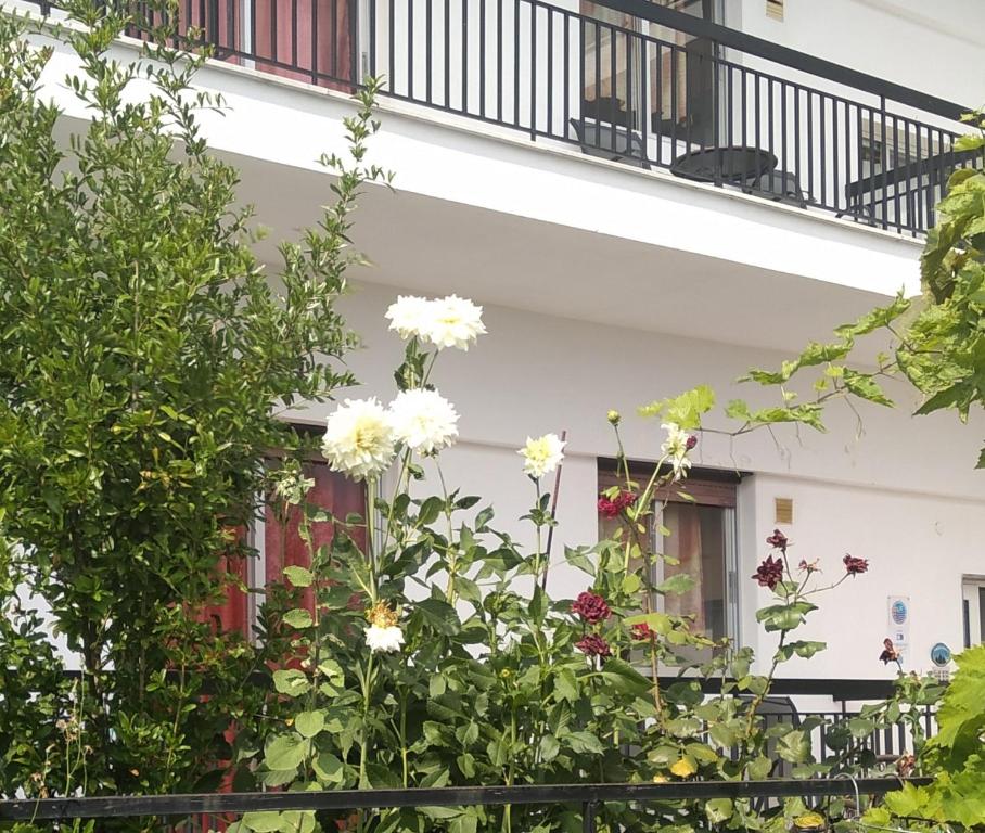 Balkón nebo terasa v ubytování Pension Olympus