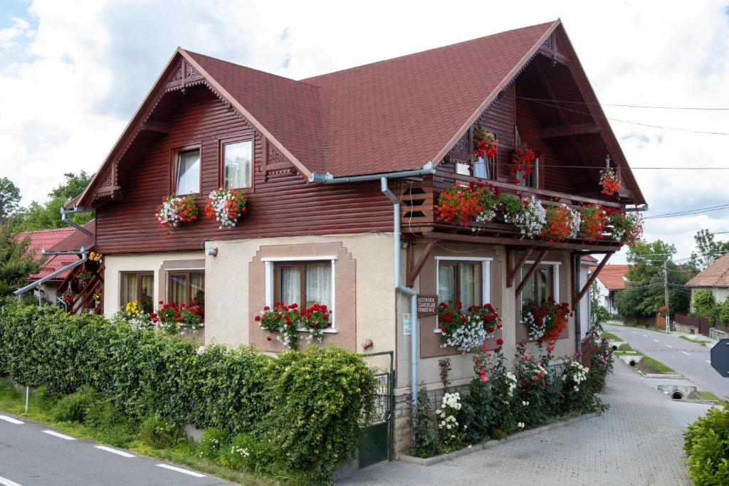 ein Haus mit Blumenkästen an den Fenstern in der Unterkunft Pensiune Saroklak in Sîncraiu