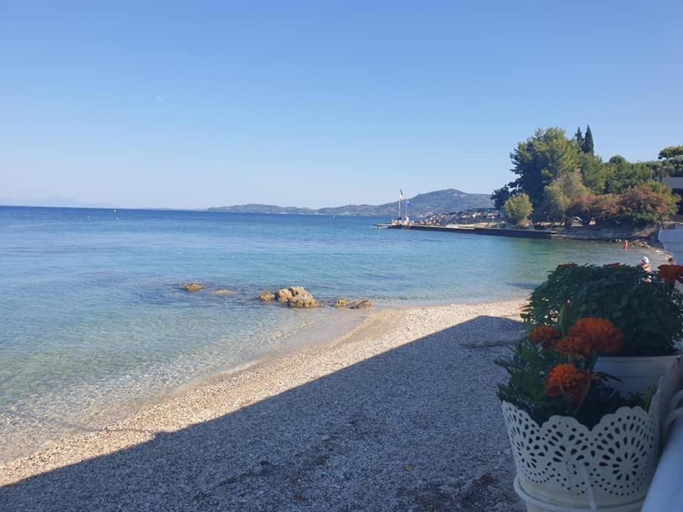 IONIAN MARE, Agios Ioannis Peristeron – Tarifs 2023