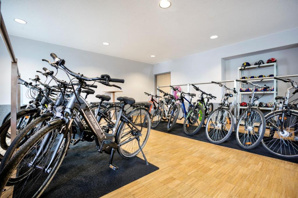 Jízda na kole v ubytování JUFA Hotel Waldviertel nebo okolí
