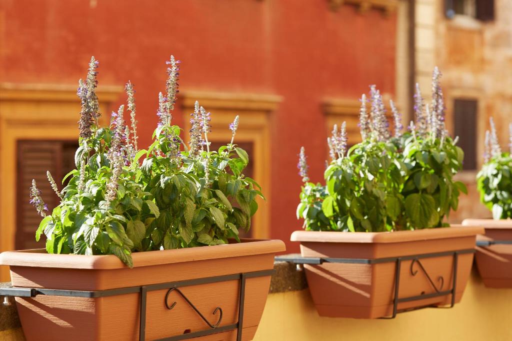 Ripagrande a Trastevere - 2