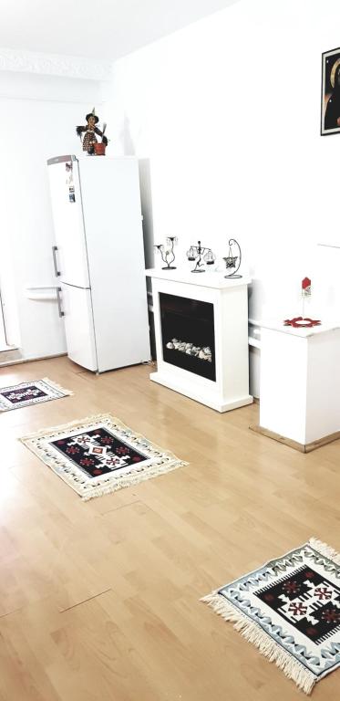 een keuken met drie tapijten op de vloer en een koelkast bij Casa Mihaela in Mangalia