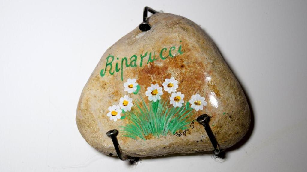 Ein Stein mit einem Blumengemälde darauf in der Unterkunft RIPARRUCCI nel Residence Praetorium Maiella in Pretoro