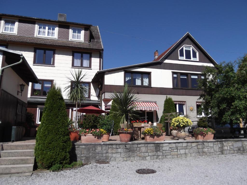 a white building with potted plants in front of it at Pension Waldhof in Trautenstein