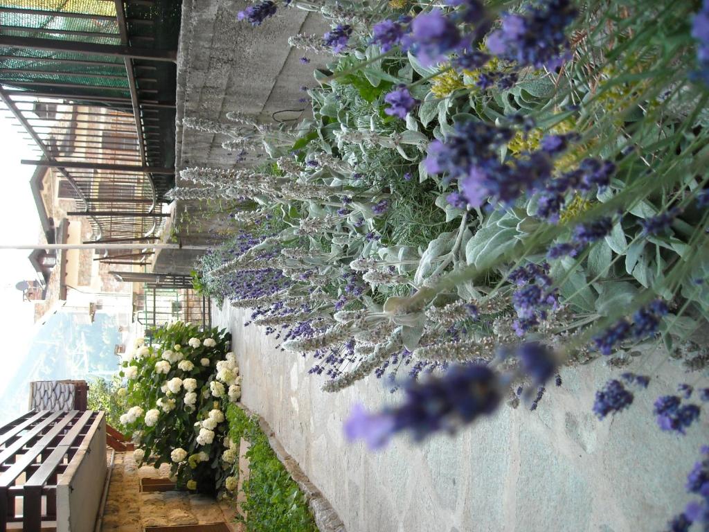 a retaining wall with purple flowers and plants on it at Hotel Tripoli La Margherita in Limone Piemonte