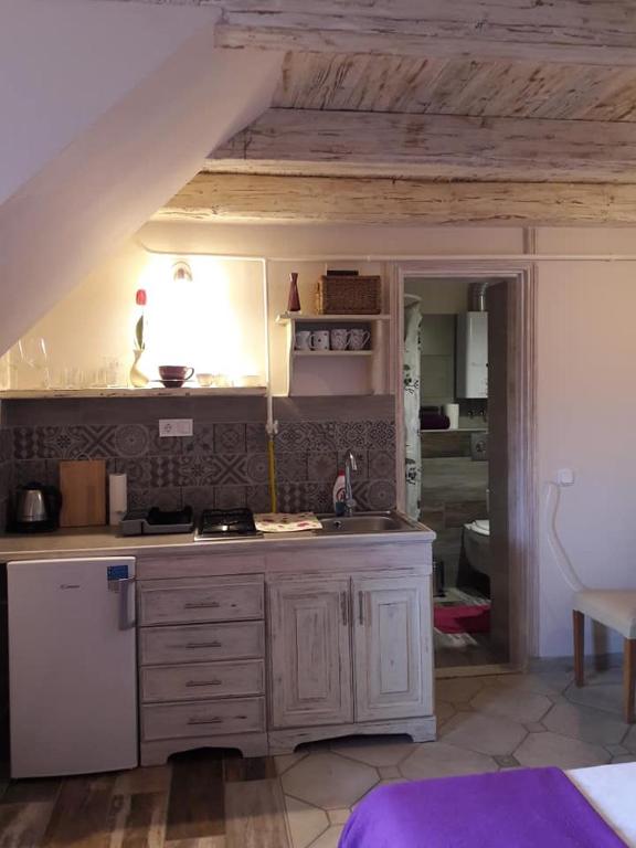 Kuchyňa alebo kuchynka v ubytovaní Bástya apartman