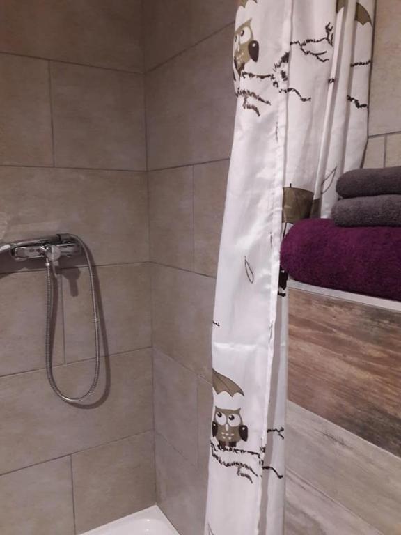 Kúpeľňa v ubytovaní Bástya apartman