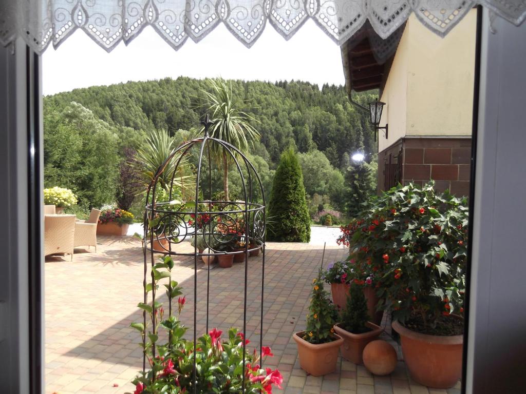 Zahrada ubytování Pension Waldhof