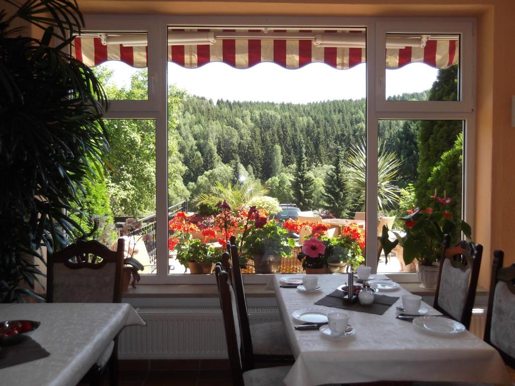 Fotografie z fotogalerie ubytování Pension Waldhof v destinaci Trautenstein