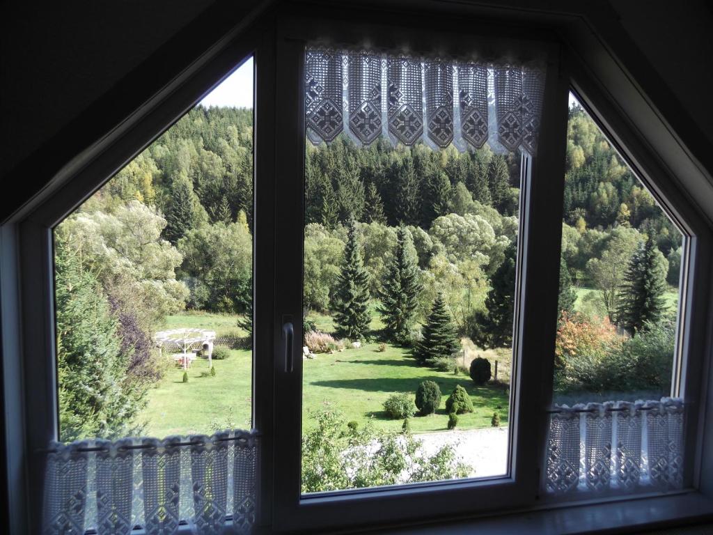 Zahrada ubytování Pension Waldhof