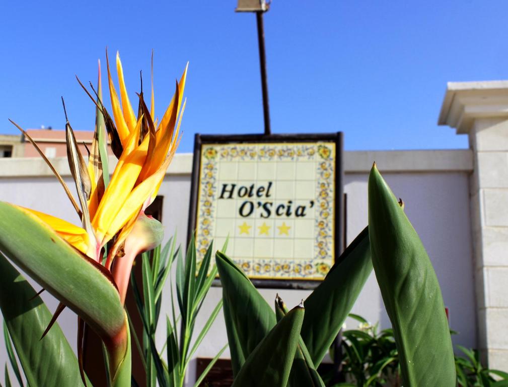 a yellow flower and a sign in front of a building at Hotel O'scià in Lampedusa