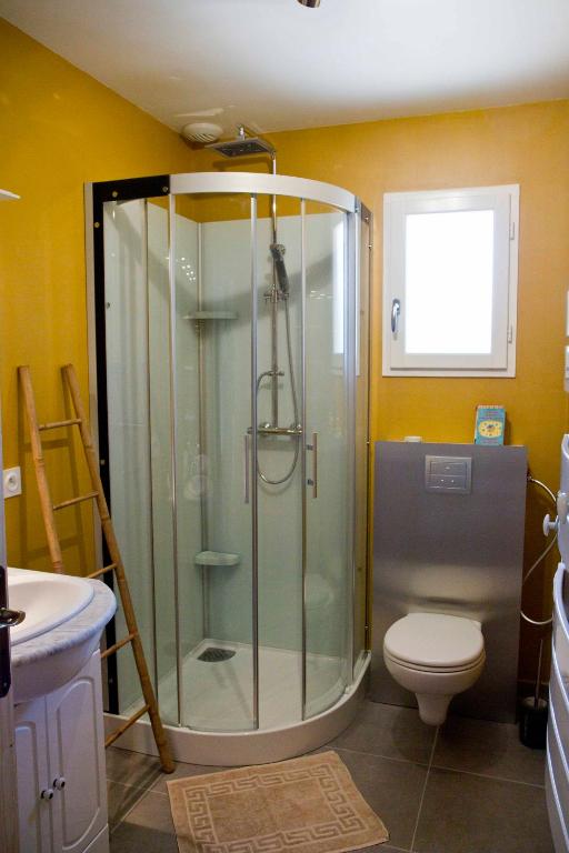 a bathroom with a shower and a toilet at Gîte Les Bourdettes in Auvillar