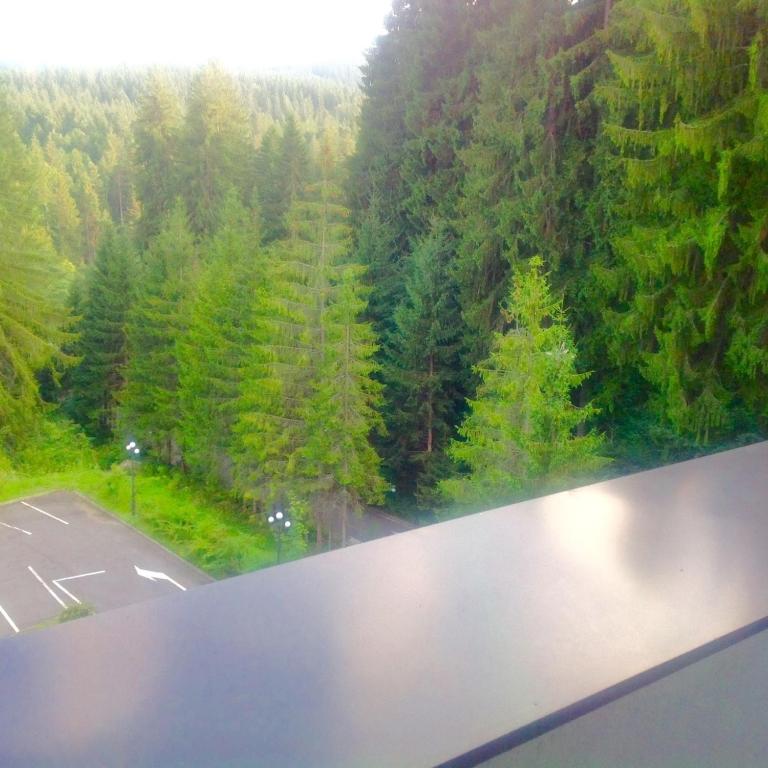 Příroda nedaleko hotelu