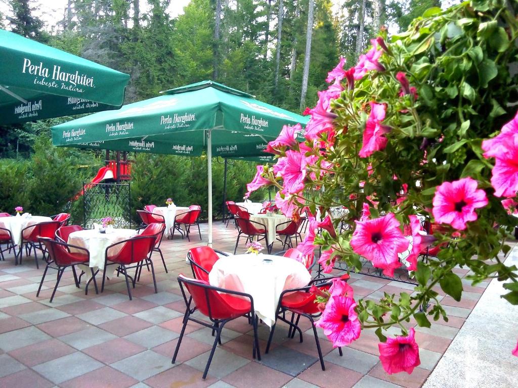 Zahrada ubytování Hotel Hart