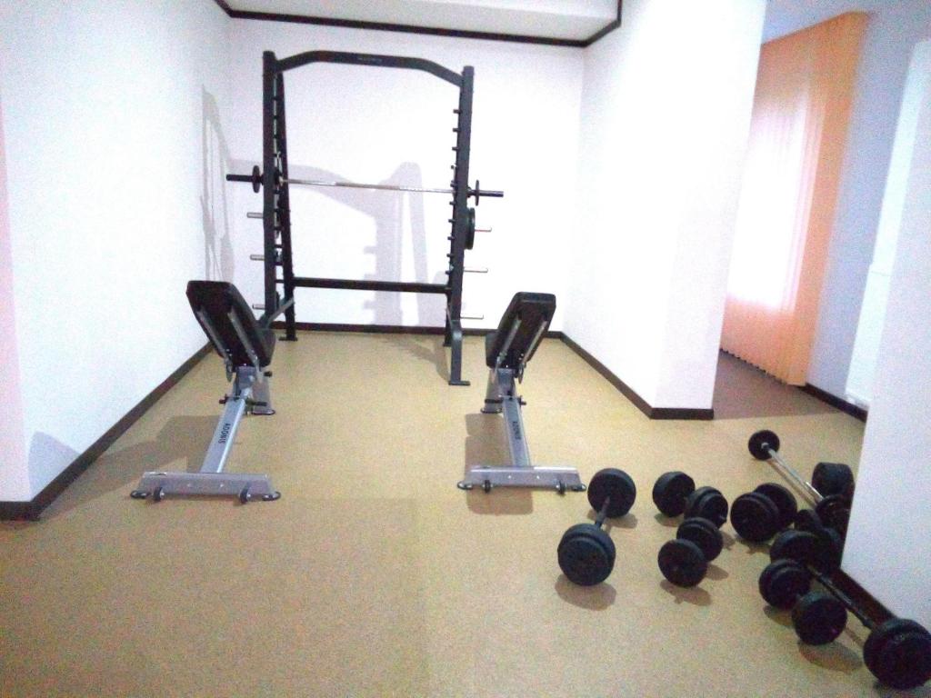 Fitness centrum a/nebo fitness zařízení v ubytování Hotel Hart