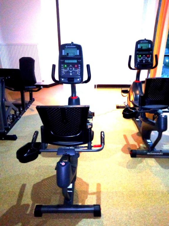 Fitness centrum a/nebo fitness zařízení v ubytování Hotel Hart